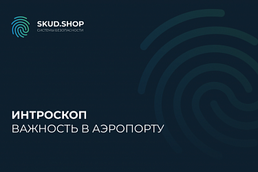 Важность интроскопов в аэропорту